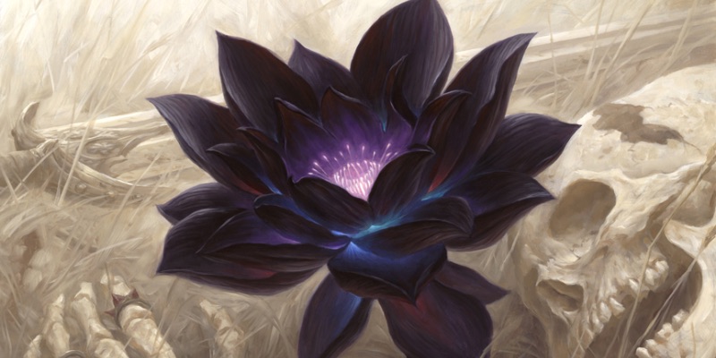 MTG: Alpha Black Lotus Sells for $87,672 at Auction - Bell of Lost Souls