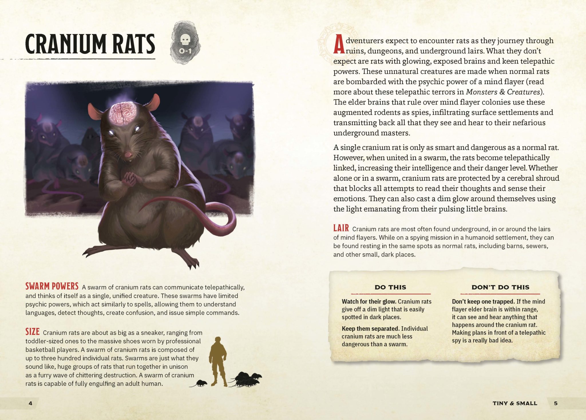 Cranium rats 5e