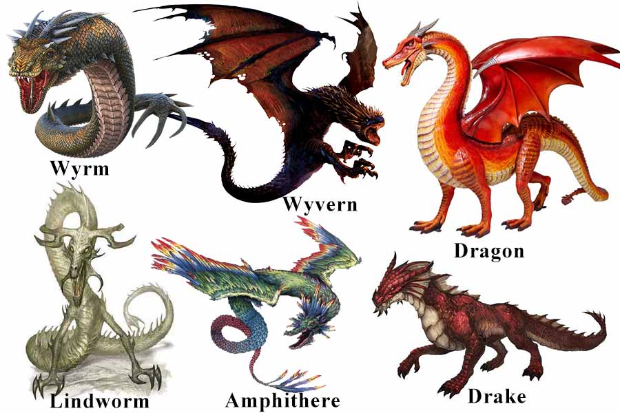 Dragons of the Worlds From Folklore to Fantasy - PRIME - Bell of Lost Souls