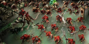 Games Workshop Pre-Orders: Skaven Releases Weekend